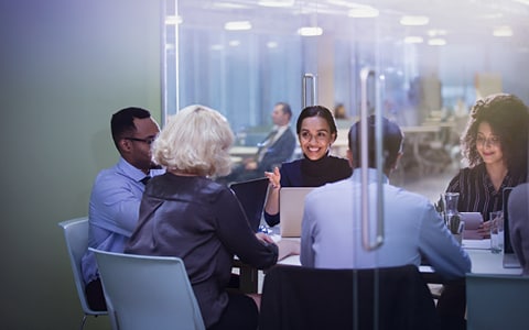 Professionals in a meeting 